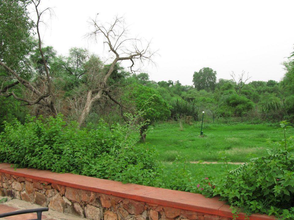 Hotel Bharatpur Ashok Bagian luar foto