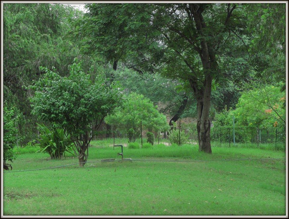 Hotel Bharatpur Ashok Bagian luar foto